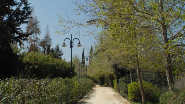 Γραμμικό πάρκο Πεδιαίου: Προτεραιότητα στην Φύση και στον Άνθρωπο