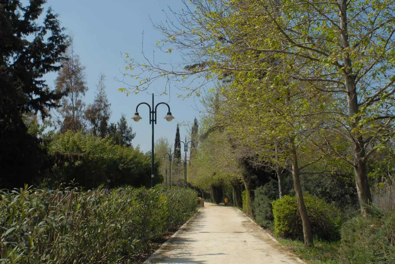 Γραμμικό πάρκο Πεδιαίου: Προτεραιότητα στην Φύση και στον Άνθρωπο