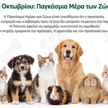 Παγκόσμια Ημέρα των Ζώων: Η προστασία τους δεν μπορεί να μένει στα λόγια