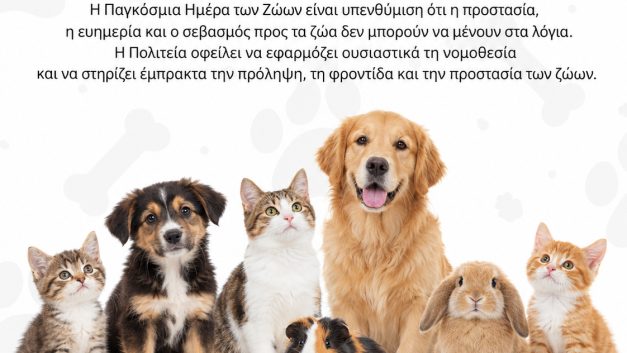 Παγκόσμια Ημέρα των Ζώων: Η προστασία τους δεν μπορεί να μένει στα λόγια