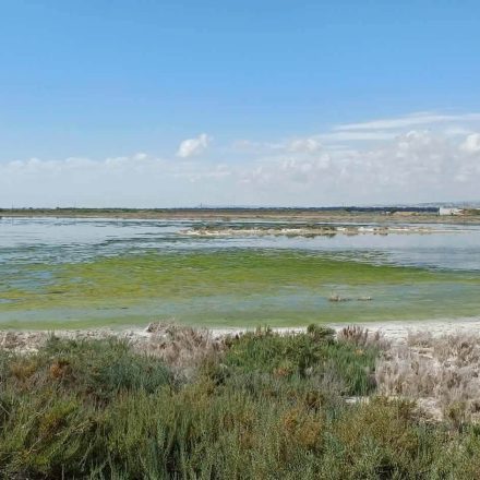 Η Αλυκή Λάρνακας εκπέμπει σήμα Κινδύνου SOS